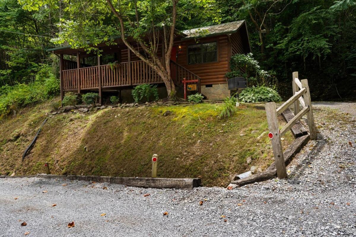 세비어빌 Cabin 5 Studio Cabin With Hot Tub, Water View And Fire Pit 빌라 외부 사진